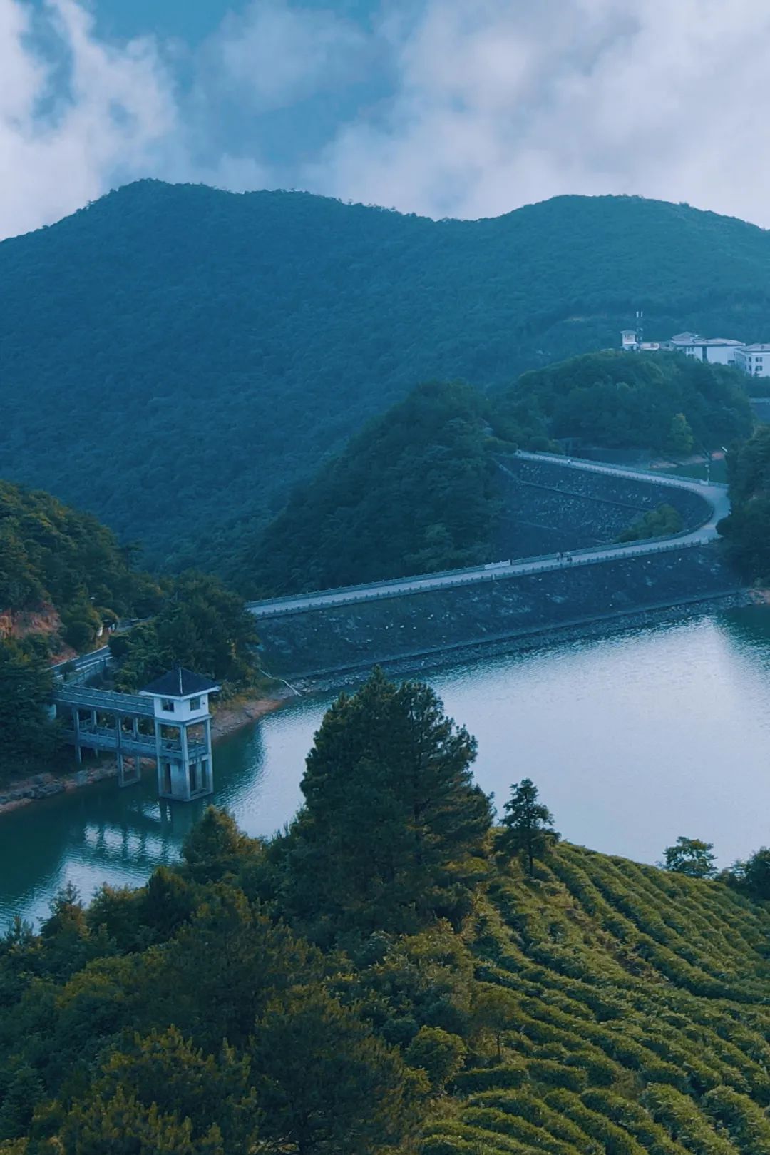 隐居酒店浙江,金华梧杉隐居民宿酒店