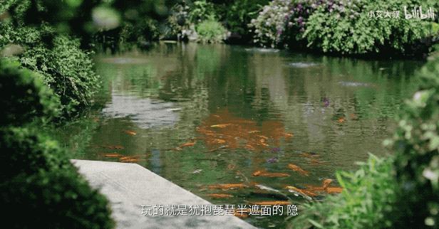 杭州中式豪宅红木,杭州红木家具别墅