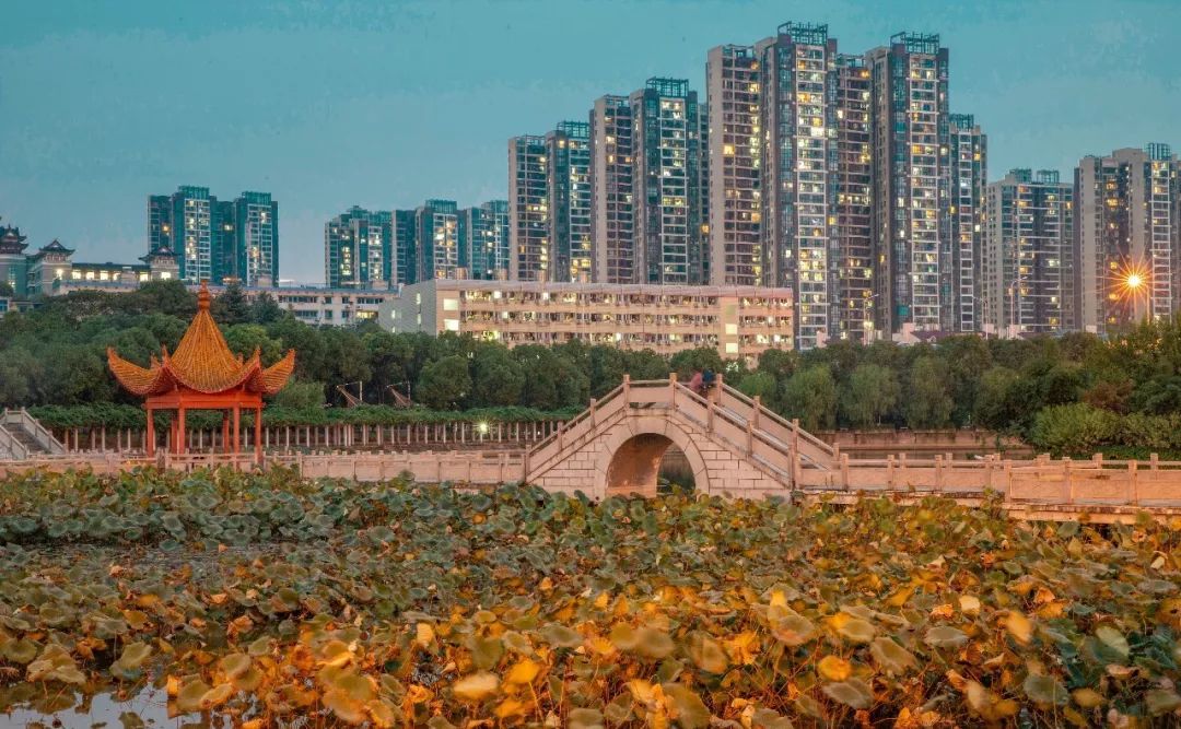 婀栧崡闀挎矙姘戞斂瀛﹂櫌,闀挎矙姘戞斂鑹烘湳瀛﹂櫌