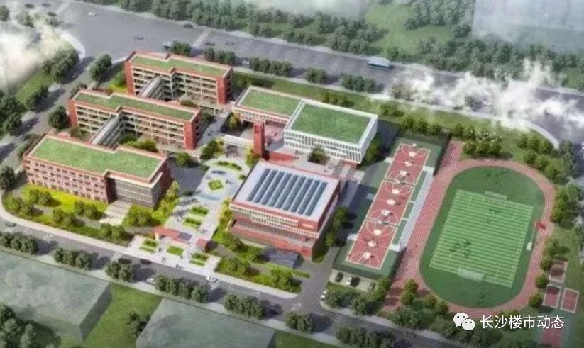 岳麓区规划中小学,岳麓区打造分校