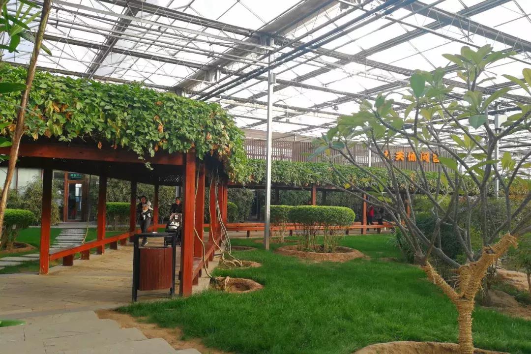 从亲子圣地到每天50个大巴团，九天休闲谷变味儿了？