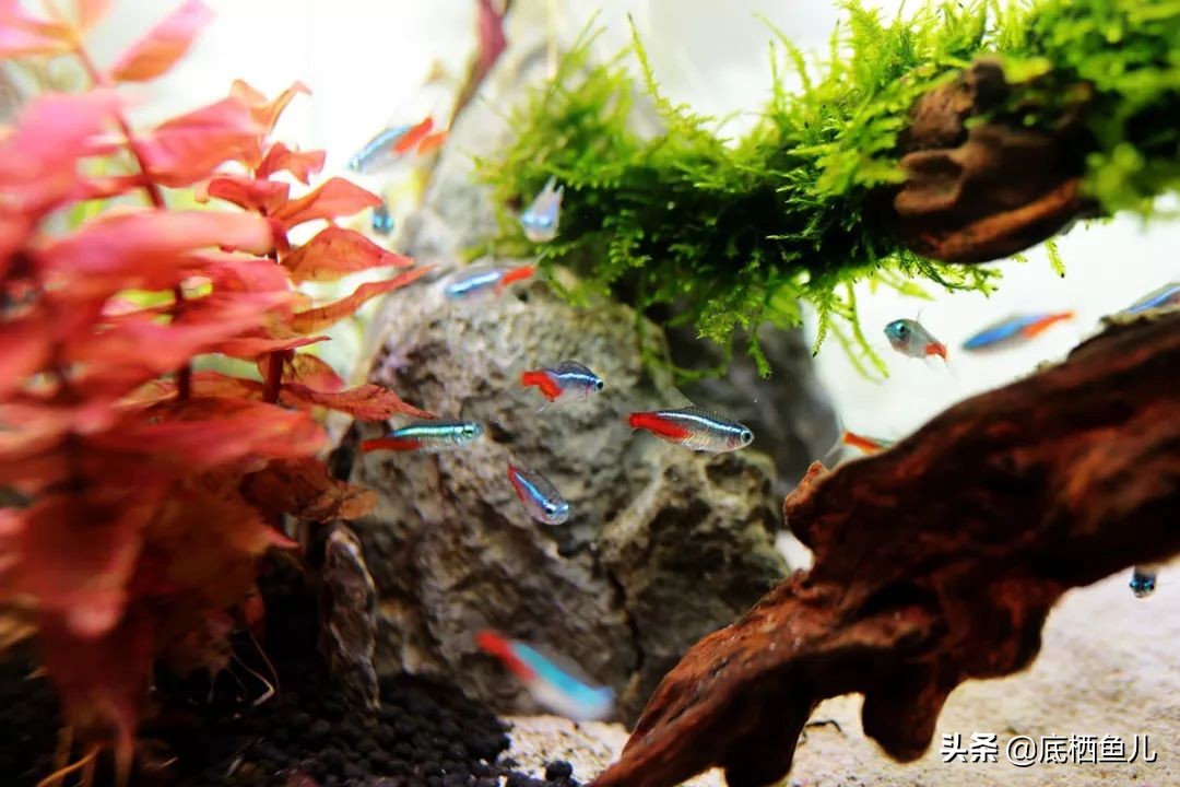 树脂材质的假山怎么样,树脂做假山造型视频