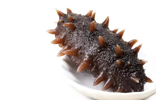 常吃海参的朋友给你几个忠告,吃海参前这9件事你要懂