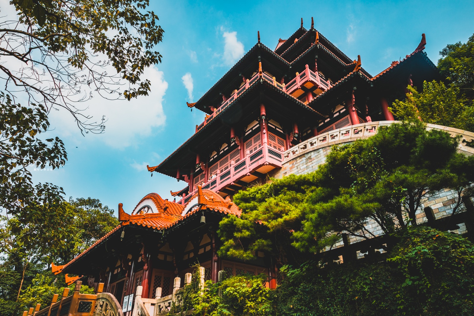 武汉东湖ufo事件,武汉东湖神秘事件