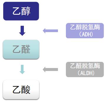 鎾镐覆璺熷暏閰掑澶╄鏈夌殑鏍峰瓙,澶忓鎾镐覆鍟ら厭鐜╂硶