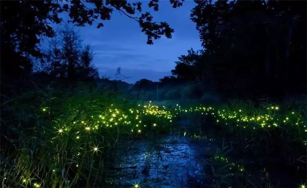 沙巴旅游攻略大全免费观看,2月份沙巴旅游攻略图片