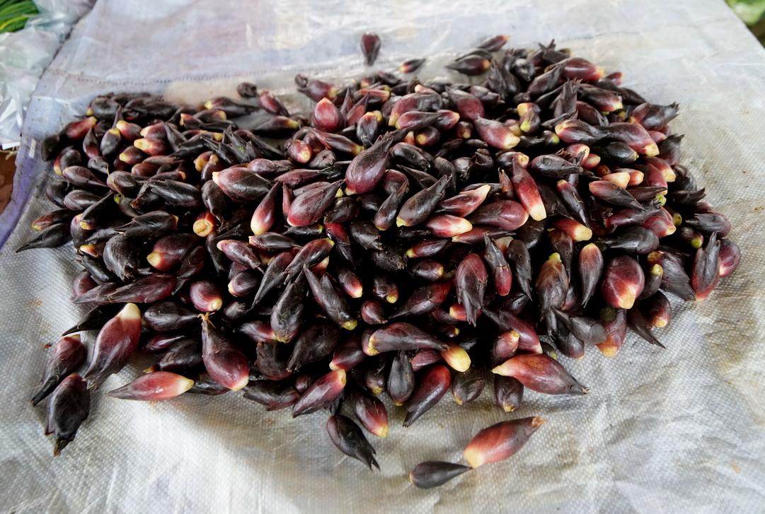 逛农村的农贸市场,逛屏边农贸市场