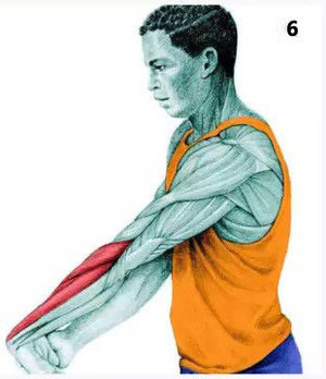 身体各部位拉筋的方法,最有效的拉筋简易动作