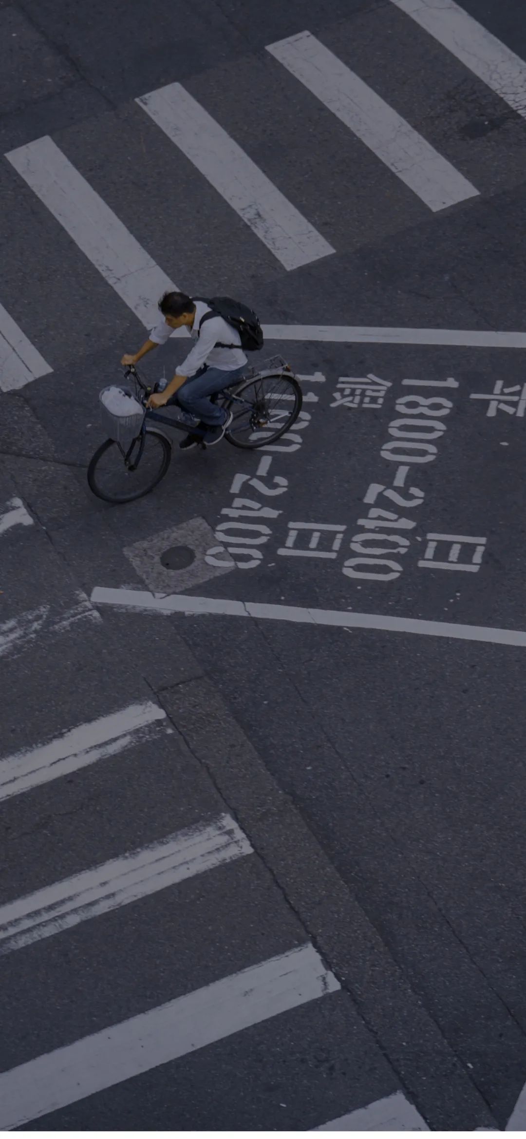 软萌可爱壁纸100张,酷软壁纸