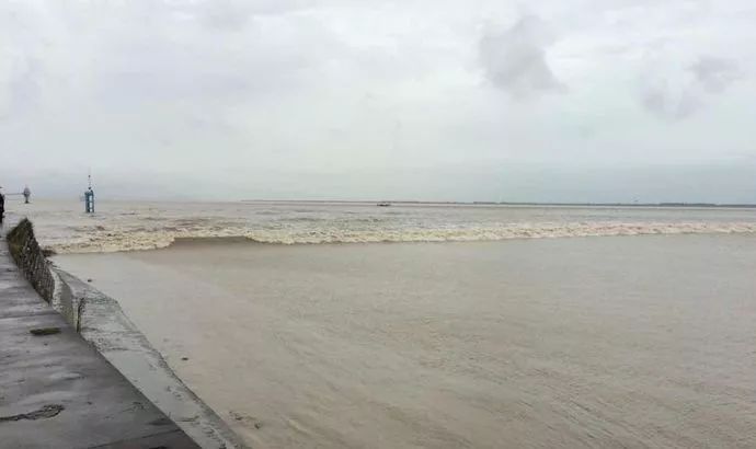 浠庡崡娴蜂箣婊ㄥ埌鍖楀浗闆師,浠庡崡鐤嗗埌鍖楃枂