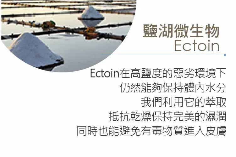 台湾之光最新消息,台湾之光保健