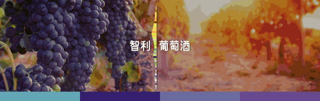 那个带唇印的红酒杯是什么杯？看完你就是朋友圈最懂葡萄酒杯的人