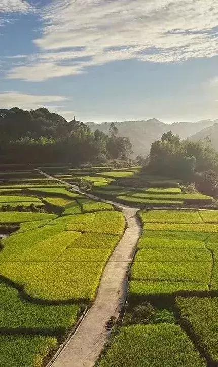 “筑梦乡村•幸福同行”碧桂园•英德连铁古驿道公益徒步活动