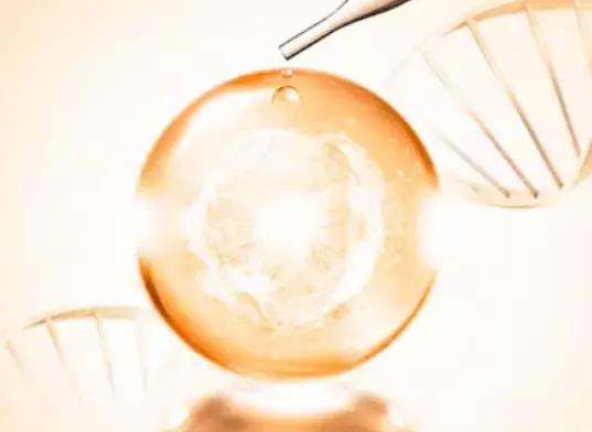 日本人真的会用的护肤品,日本人用护肤品都有哪些