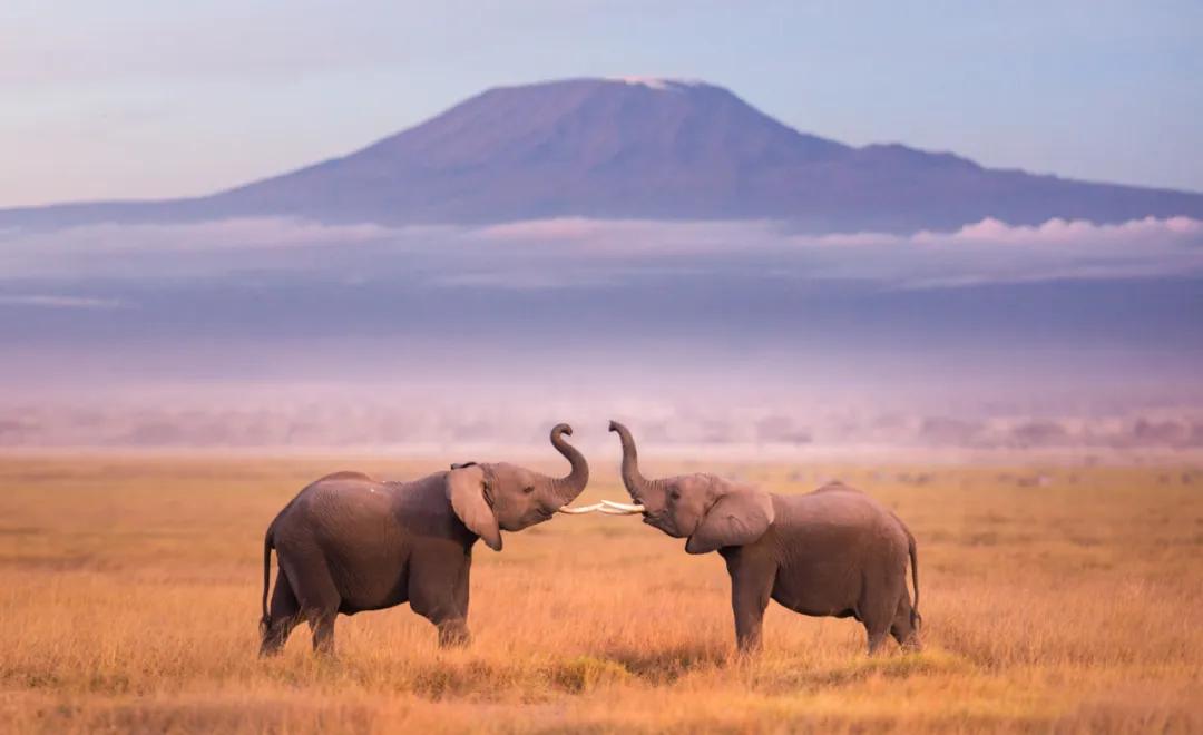 香港第14届全国摄影艺术展,第29届全国摄影艺术展览获奖名单