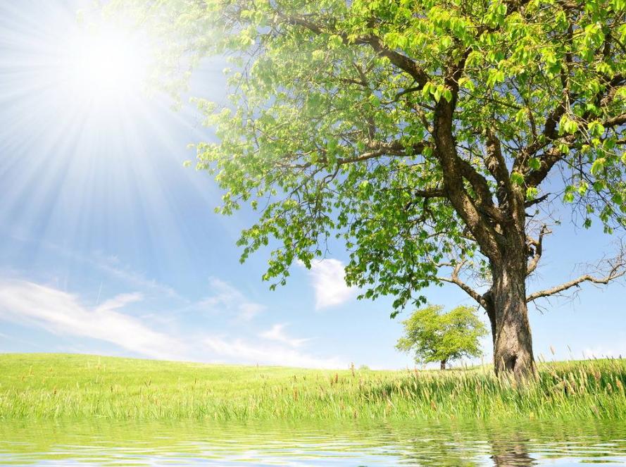 室内返潮如何解决,屋内返潮潮湿最好的处理方法