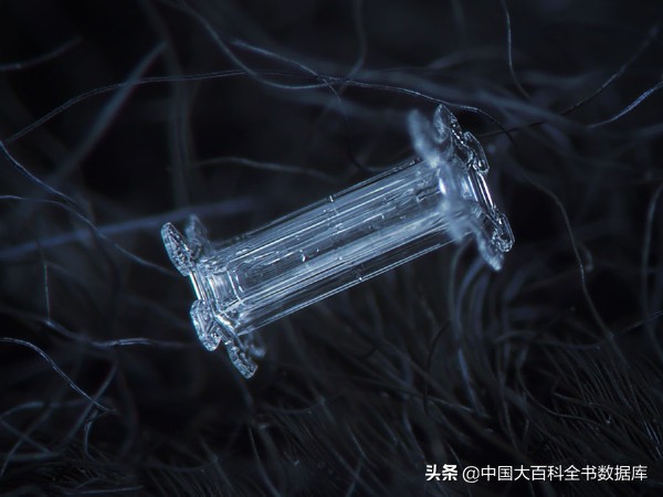 每一片飘落的雪花都是记忆,每一片飘落的雪花都是独一无二的