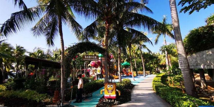 三亚红树林有亲子活动,三亚红树林和海韵