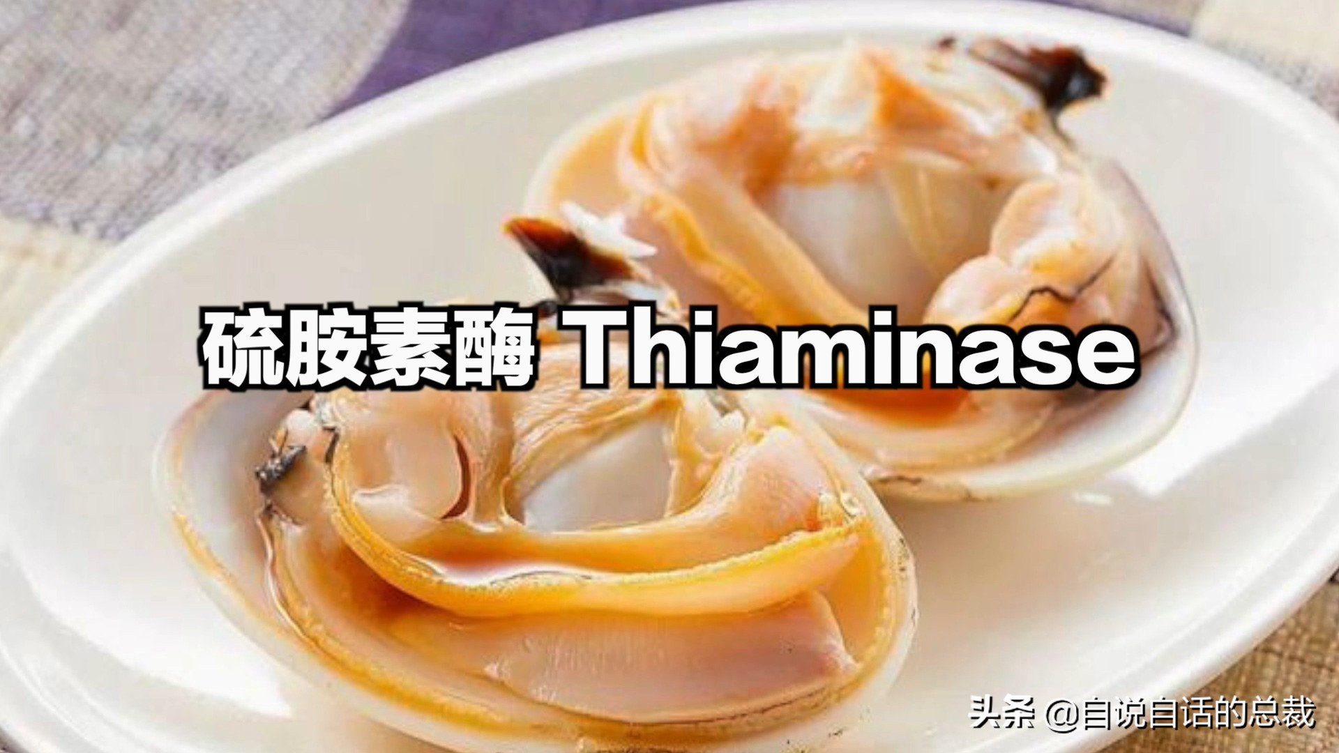 海鲜蛤蜊与蛤蜊区分,蛏子与小人蚬的区别