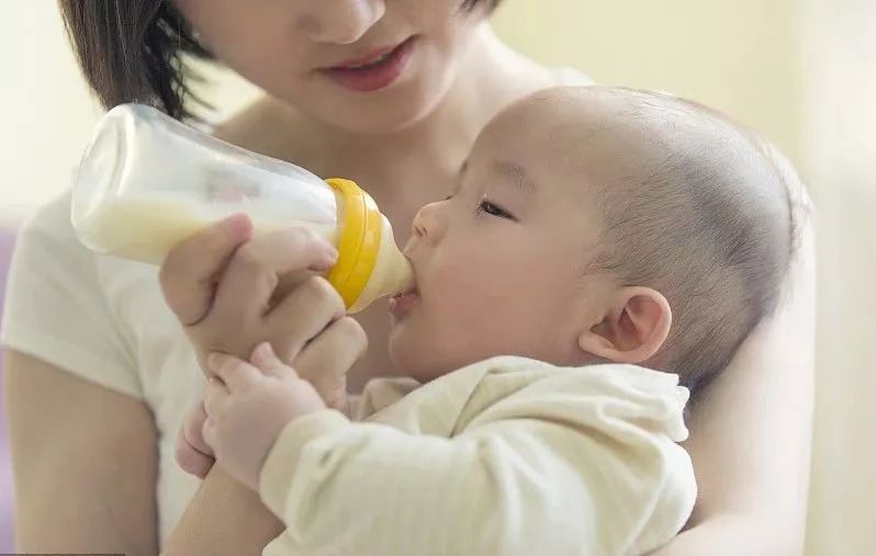 国奶当自强|小巴读财报