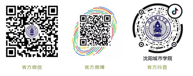 沈阳王者荣耀城市赛,辽宁省王者荣耀高校联赛排名