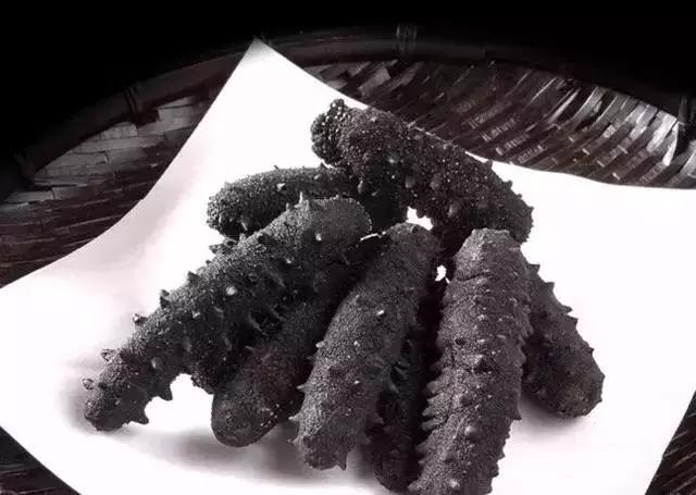 海参界最好的海参,海参物种科普