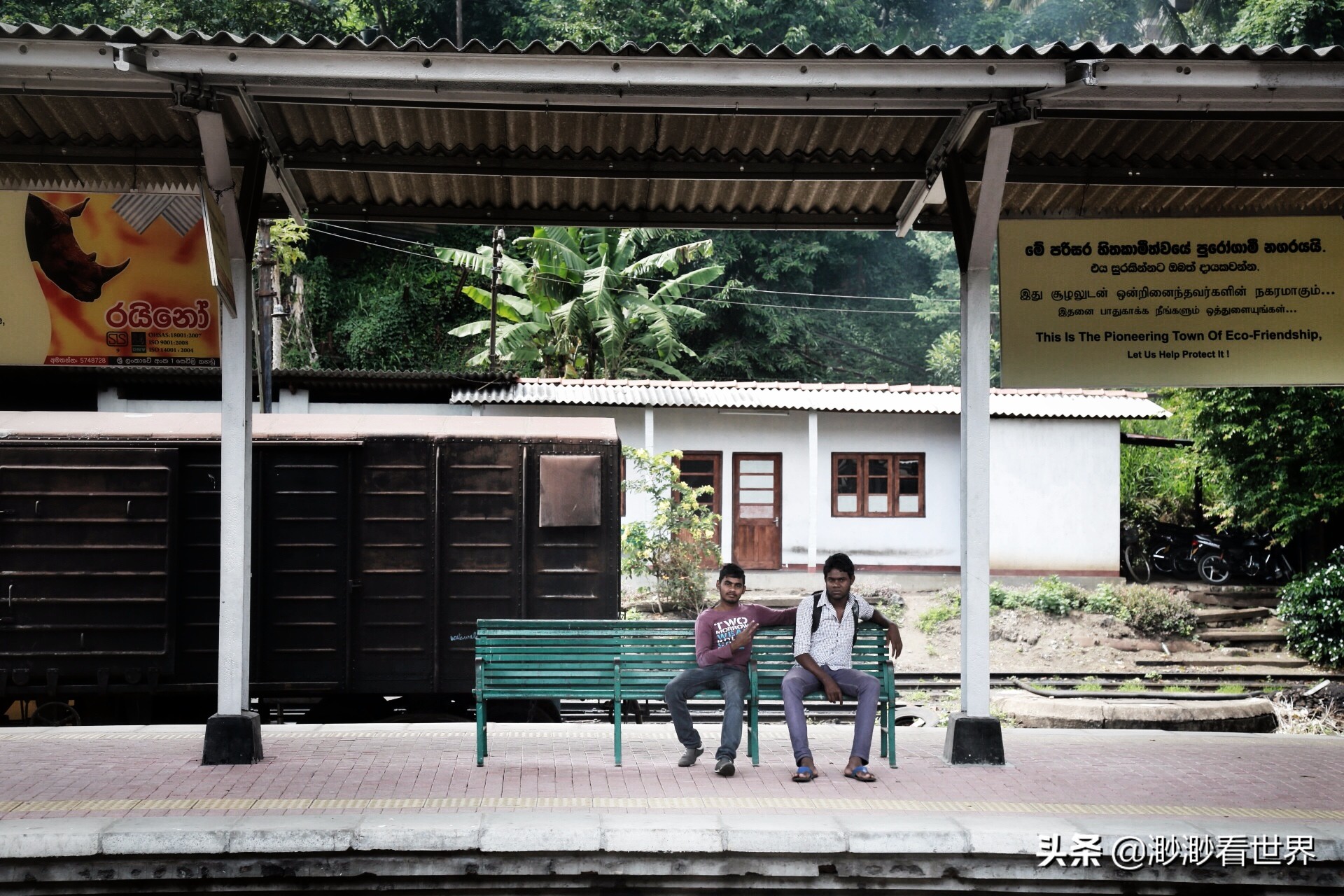 去斯里兰卡旅游攻略,1月去斯里兰卡旅游的最佳攻略