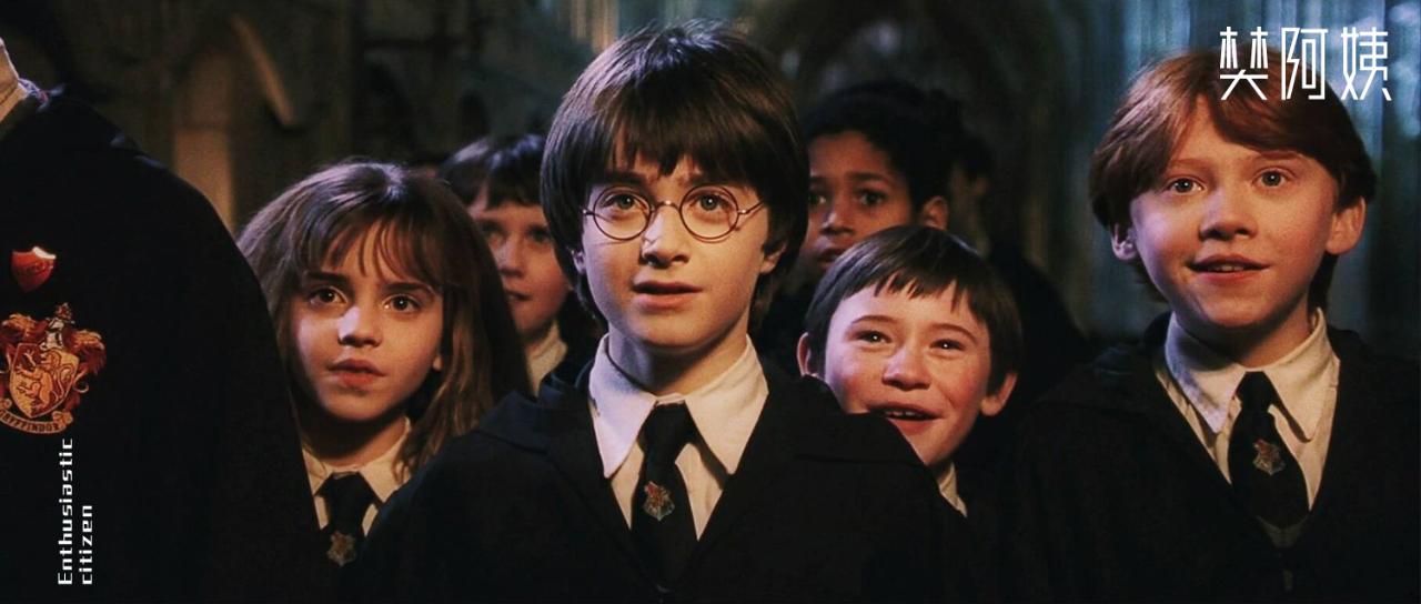 哈利波特的一生,哈利波特人物一生回忆录
