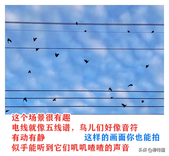 风光摄影拍摄技巧图片,风光摄影的意境之美5个诀窍