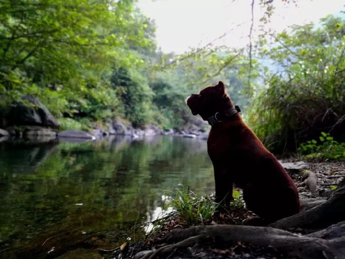 10年前，那个花83元穷游*藏西**的姑娘，后来怎么样了？