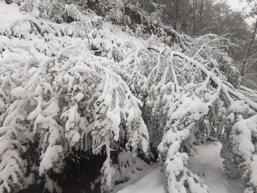 平凉崆峒区四路车现在停运了吗,平凉长途客车停运了吗
