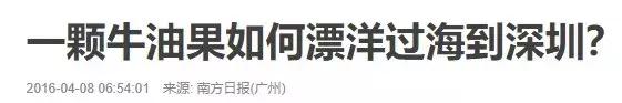 牛油果的骗局是什么,牛油果健康骗局