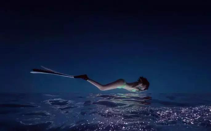 帕劳自由潜水完整视频,帕劳自由潜水玩法