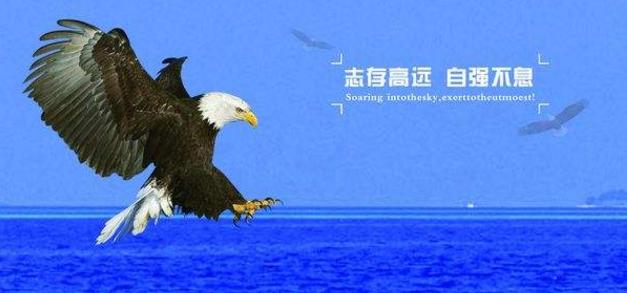 《狼道》：狼性中做人，残暴你才会成功