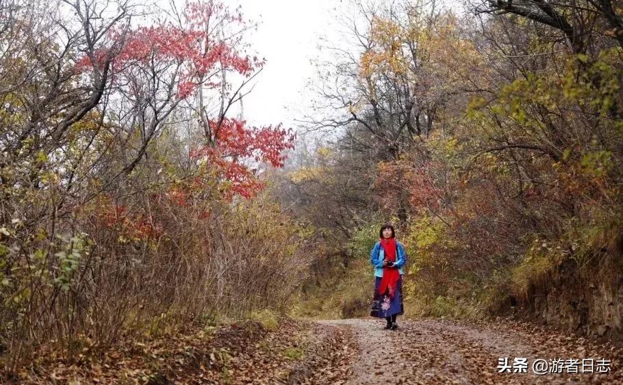 庆阳最好的城市是哪个,甘肃庆阳是什么样的城市