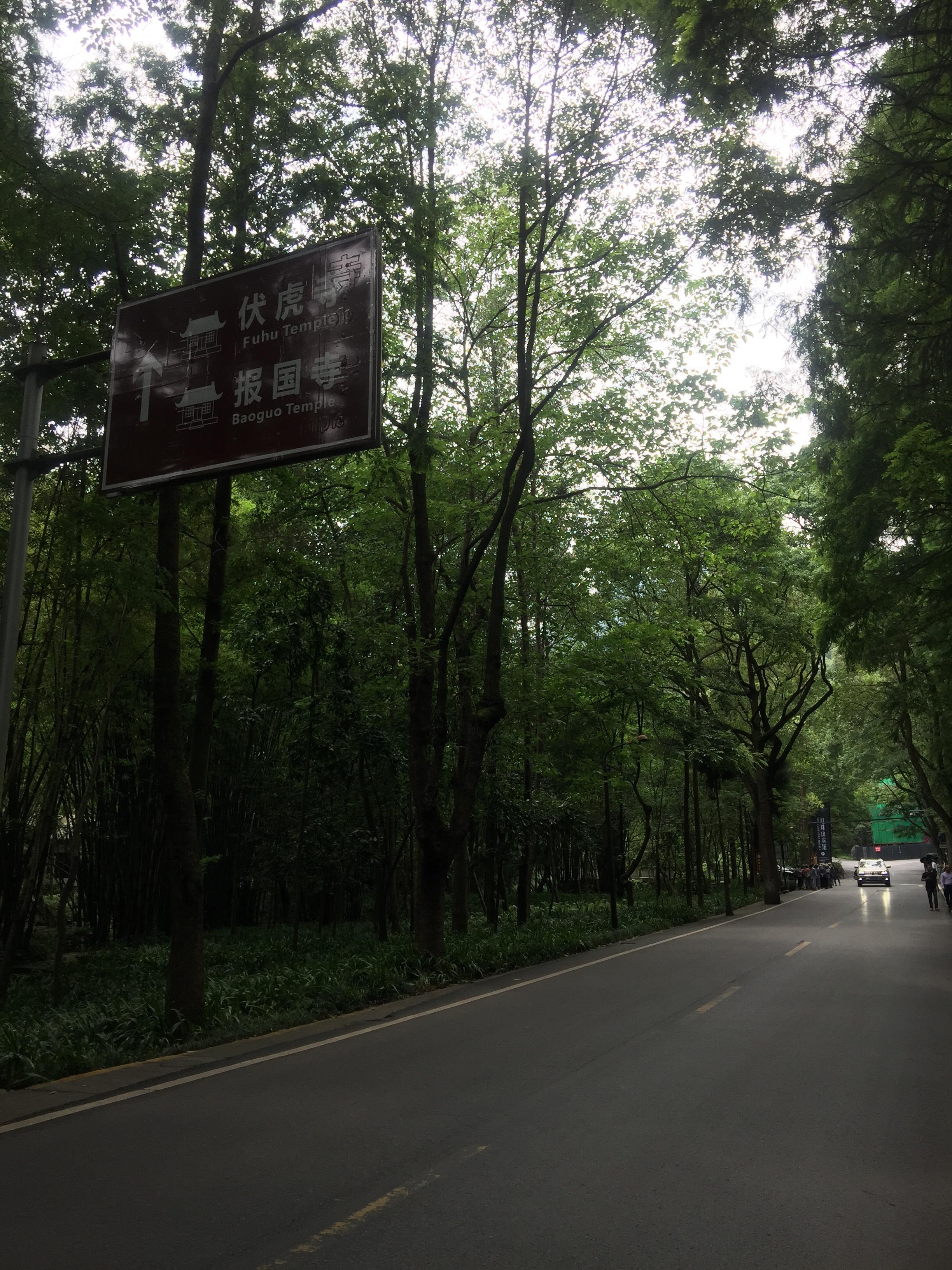 峨眉山登顶佛像,峨眉山登顶记完整版