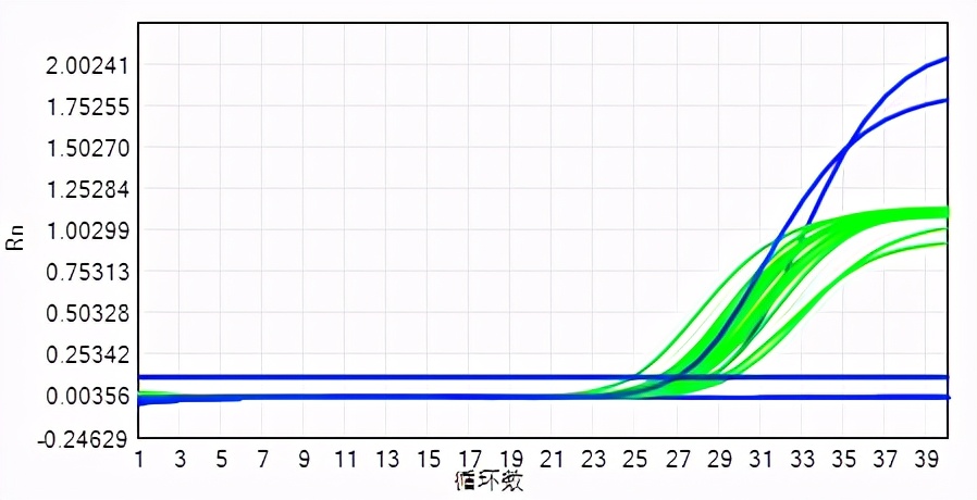 海戟植物多糖成功案例，低载量非瘟感染率低于10%