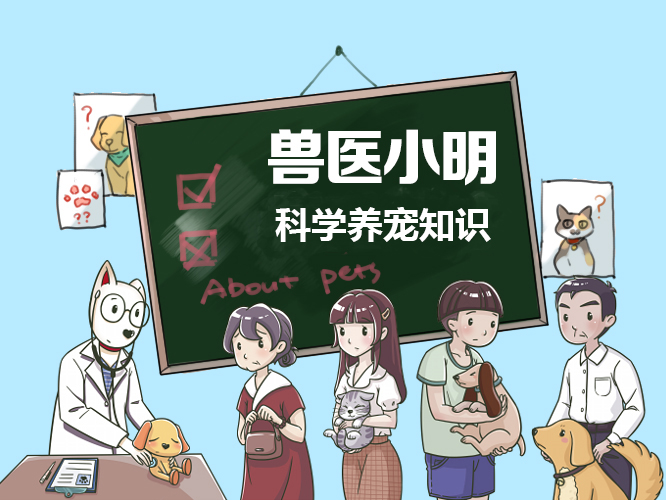 冬季狗毛长得快,什么办法能让狗子快速长毛