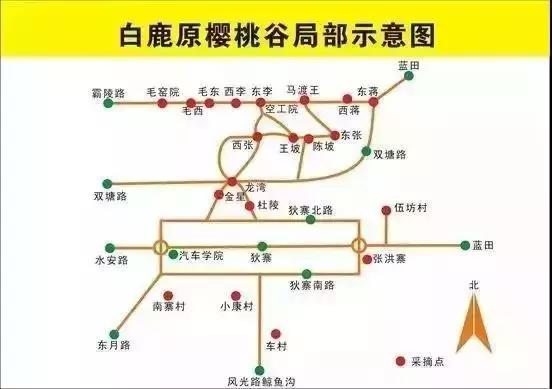 摘樱桃最近的地方西安,西安周边摘樱桃攻略