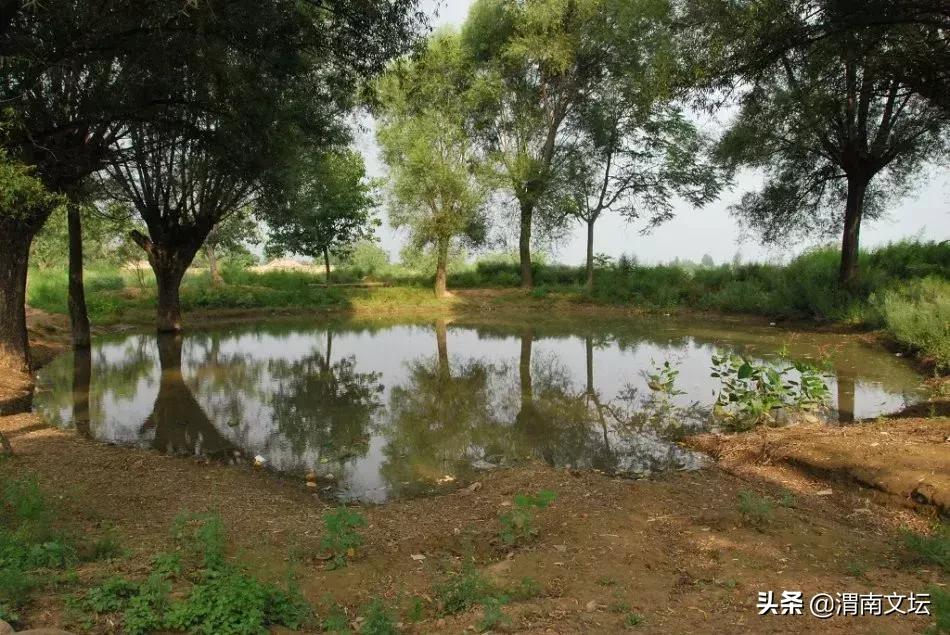 渭南阳郭贺家，我可爱的家乡