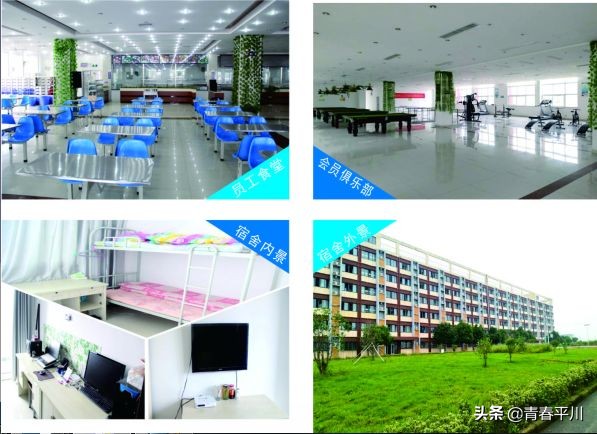 团团帮最新招聘信息,团团帮招聘信息