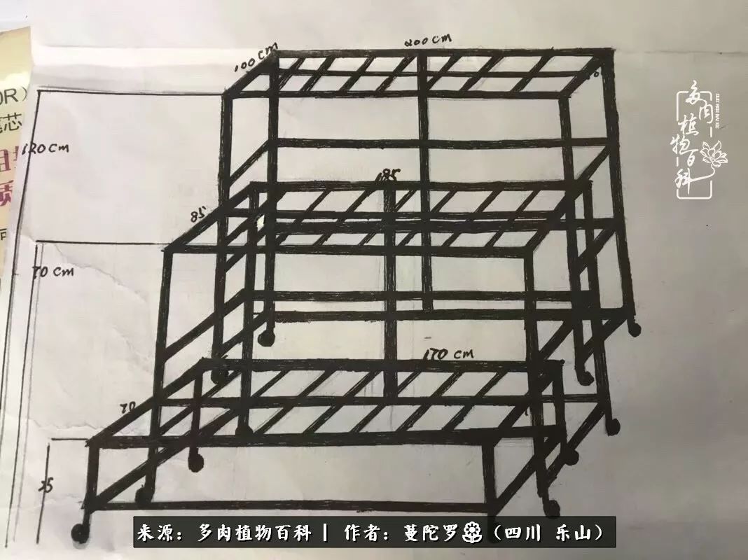 转角遇见多肉,遇见多肉治愈自己