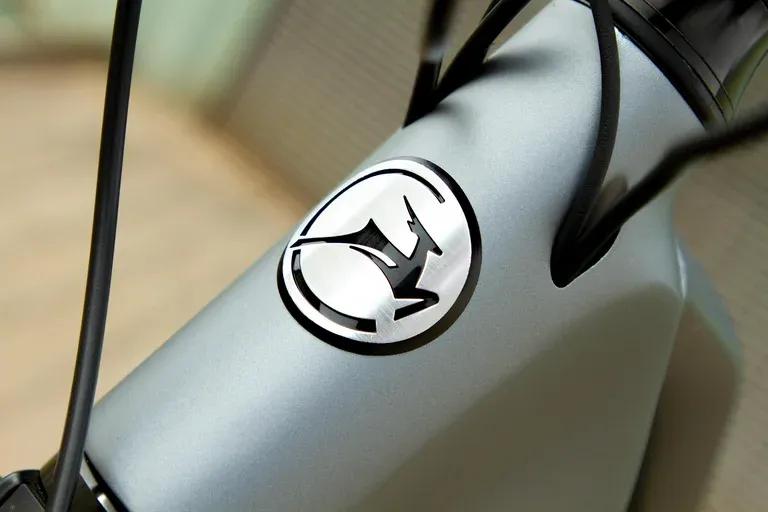 与英国蓝铃自行车其名的荷兰蹬羚自行车，出品第一台电动自行车