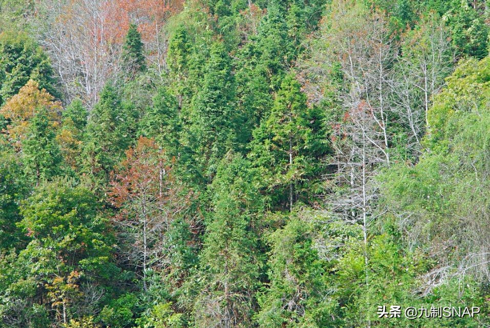 云髻山，风花雪叶自在乾坤