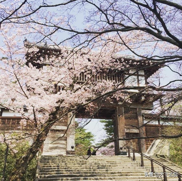 日本秋田县三大特产,秋田县