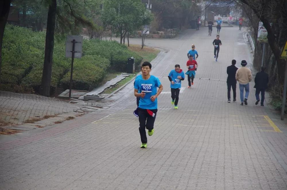 常熟市中学登高活动,迎新年登高活动