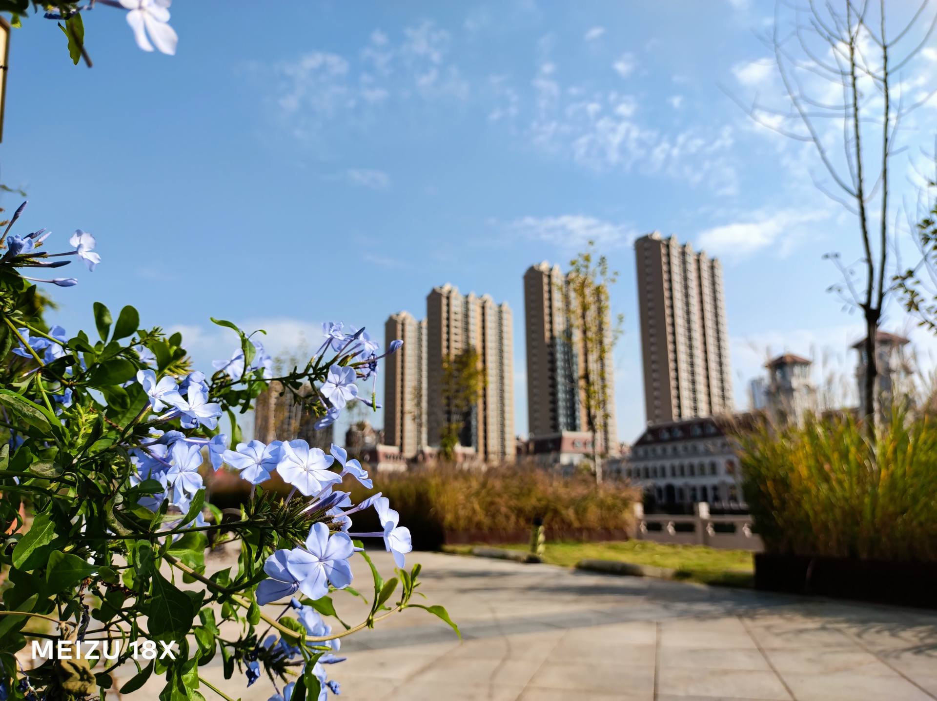 为一部手机的颜值买单魅族18x,魅族18x曝光汇总凭实力说话