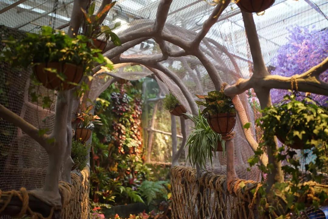 占地30000㎡！这艘建在安华汇天台上的巨船，竟是亲子乐园