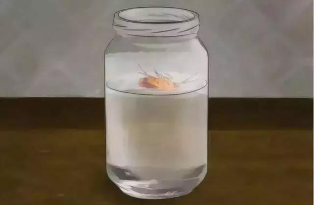 灭蟑螂最好的方法最快的,灭蟑螂最好的方法最有效