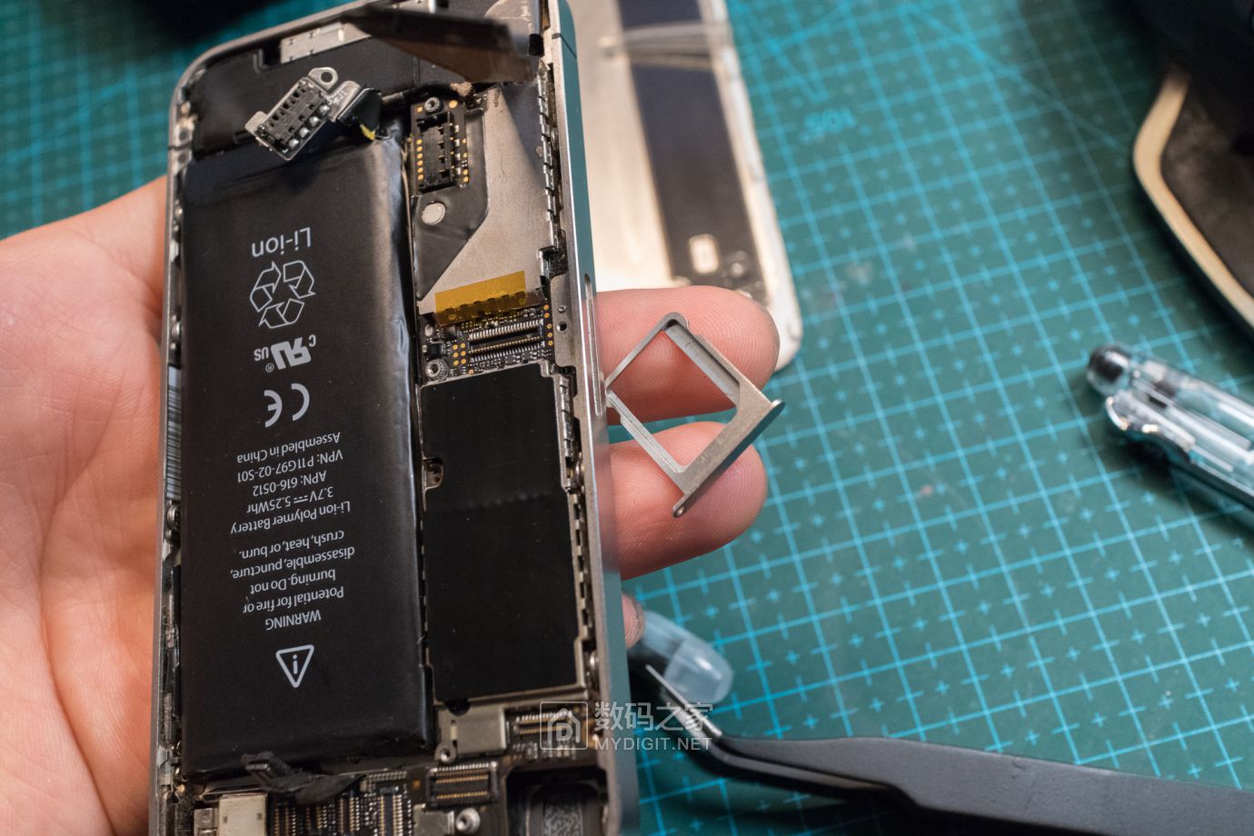 把未拆封的iphone4做成标本,iphone4被做成标本